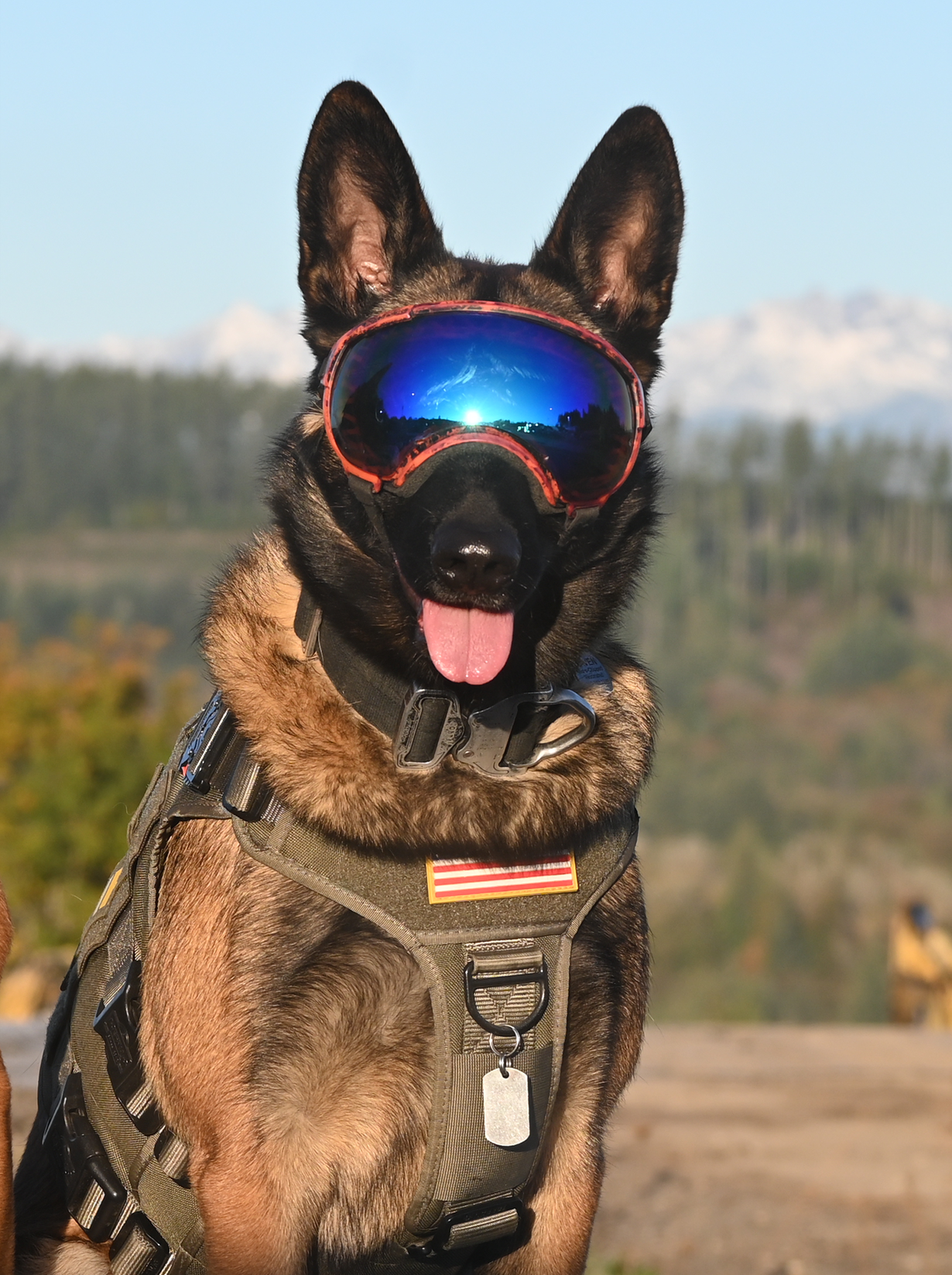 Ravenous Raven in tactical gear and Rex-Specs